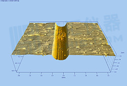 1600224476940938.jpg litixingmao-14.jpg